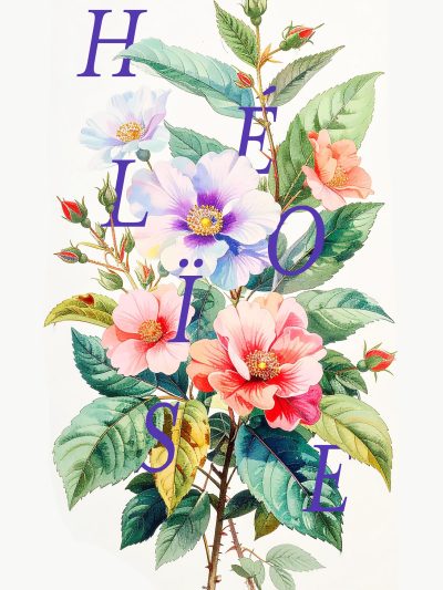 Pre-made illustration - A3 SIZE